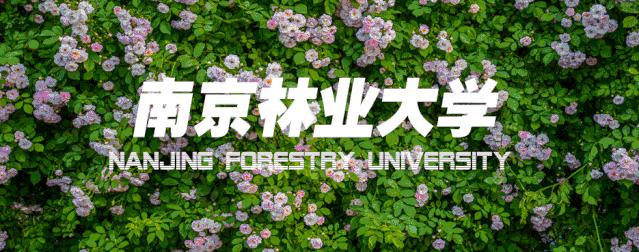 南林创新创业学分,南林数学建模2023大赛获奖作品