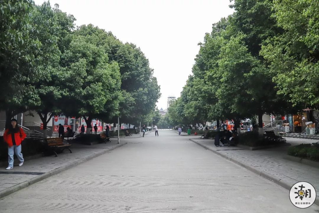 閿﹀煄鐨囧璐垫棌瀛﹂櫌,鎴愰兘閿﹀煄璐垫棌瀛﹂櫌