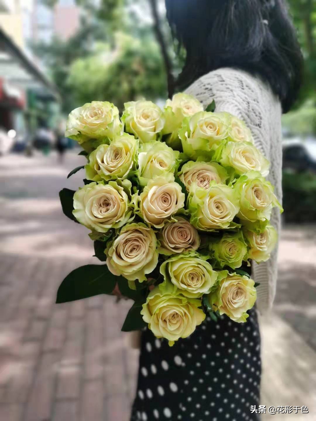 一分钟带你了解玫瑰,玫瑰花品鉴介绍