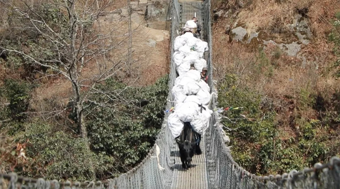 珠峰谣言,5人攀登珠峰坠崖2人遇难系谣言