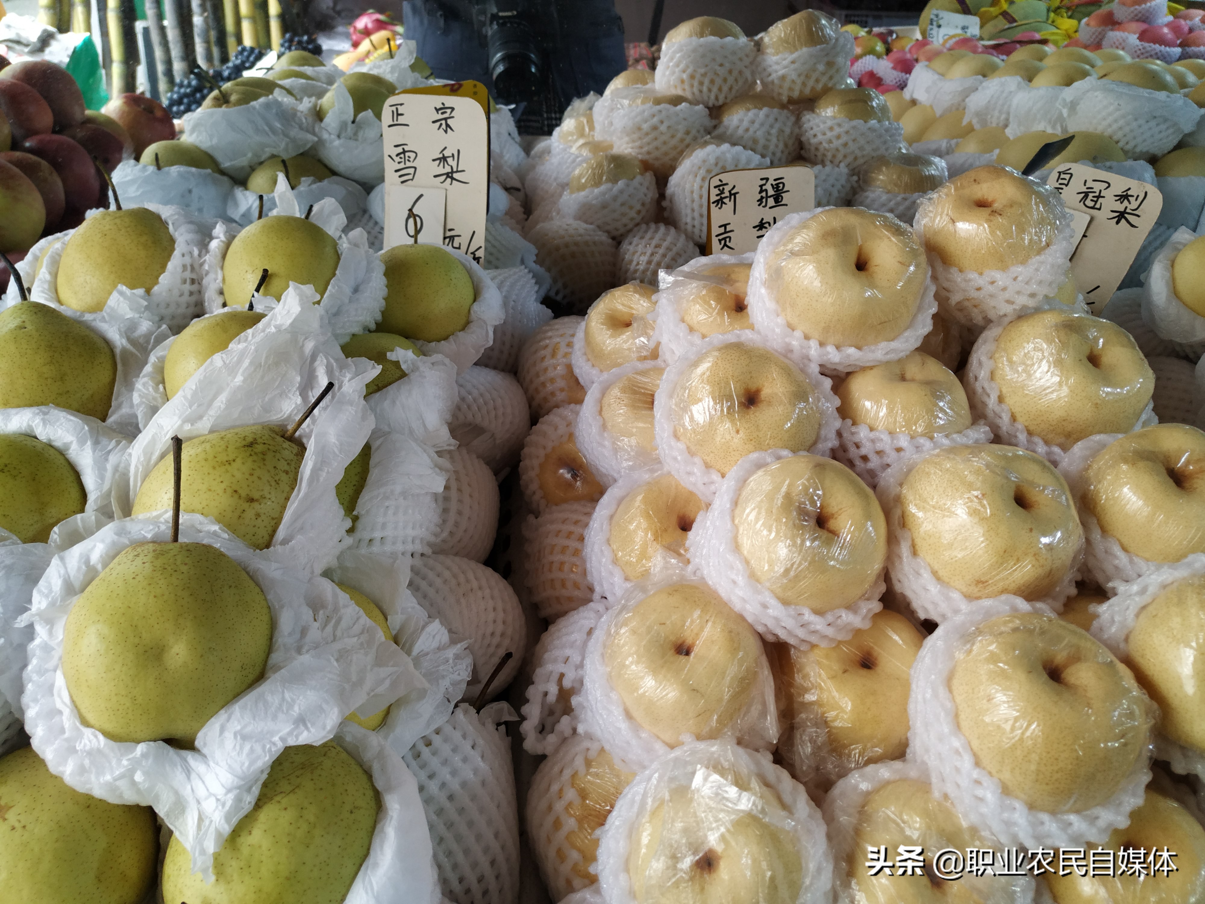 八家子水果市场零售便宜吗,批发市场水果好卖吗