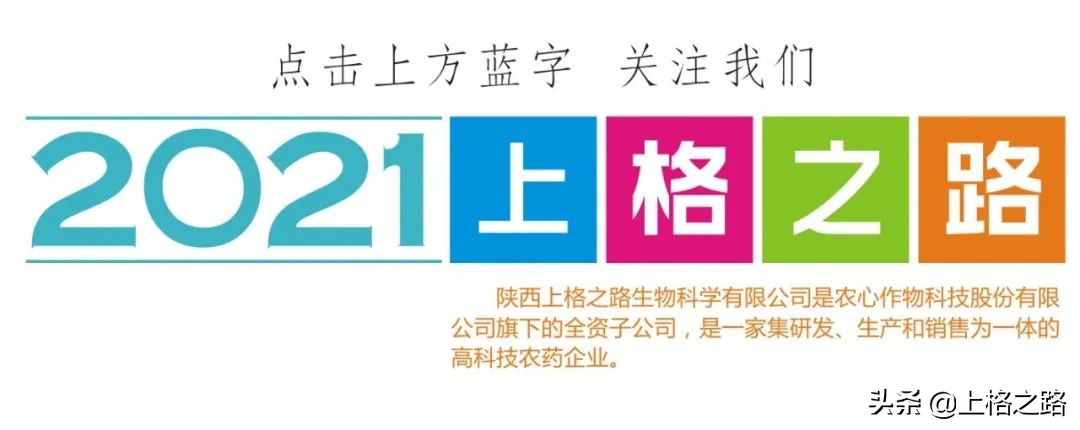 “上格之路禾你同行”2022年日曹®妆颜®广西核心客户峰会