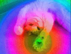 2019最in流行色你猜对了么,刚发布的2019流行色