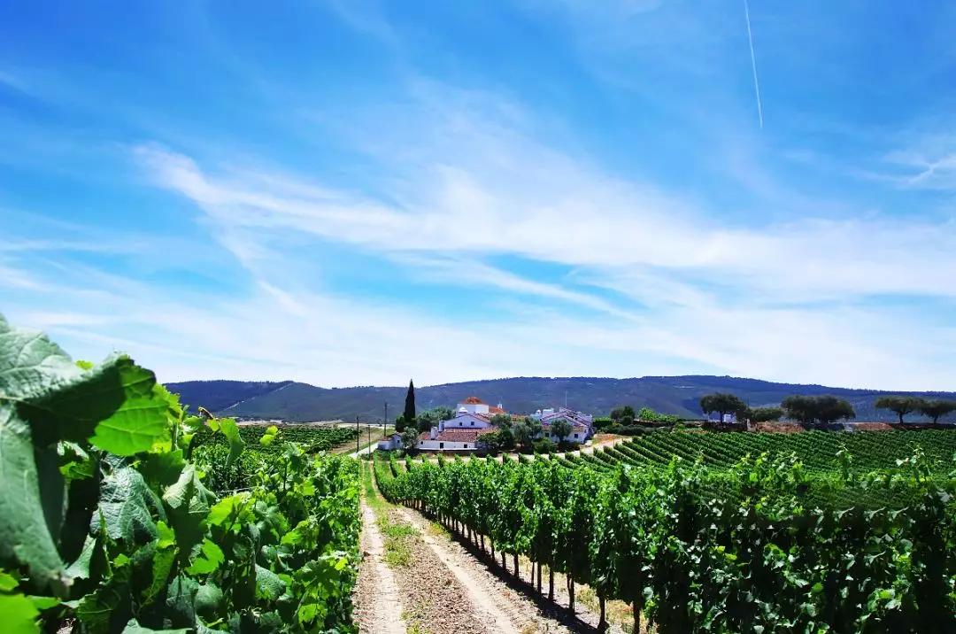 澶╂触鐢滈厭涓撻浜у搧 (涓婃捣鐢滈厭鎷涘晢)