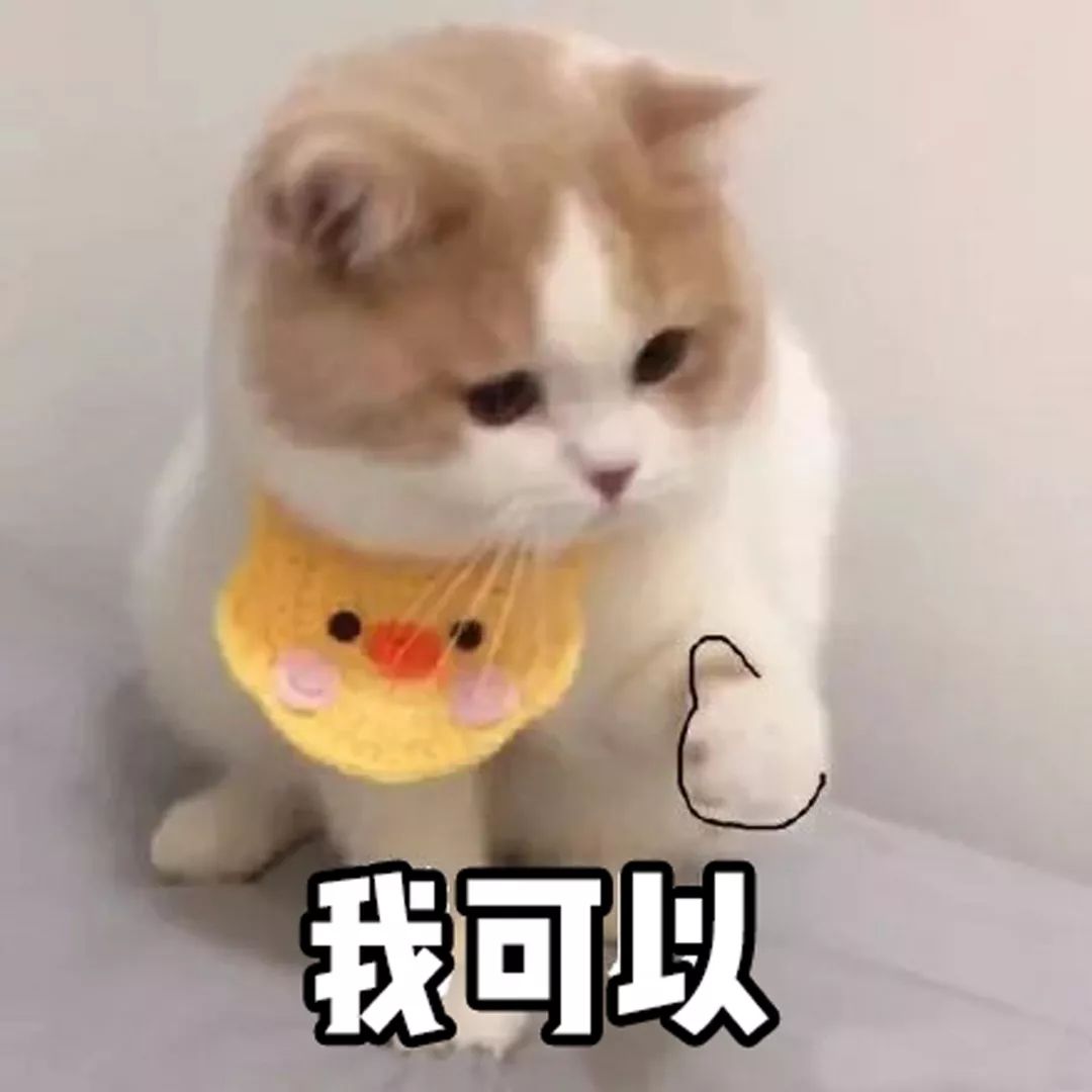 被疯狂吐槽的直男格纹，居然也有今天