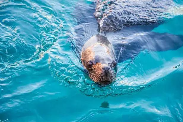 辽宁有美丽的小镇,辽宁有个小城市