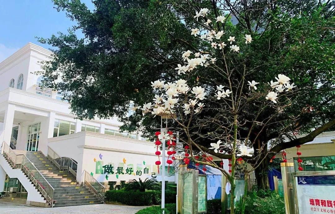 成都私立小学学校招生,2020年成都私立小学招生