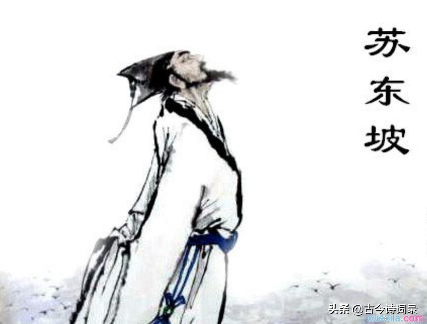 苏轼最经典的诗词名句千里孤坟,苏轼酒的诗词名句