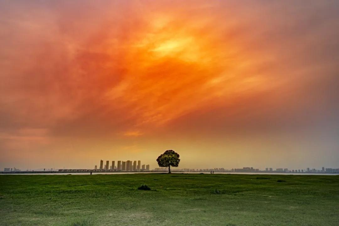 苏州小众旅游景点推荐,苏州好看又小众的拍照圣地