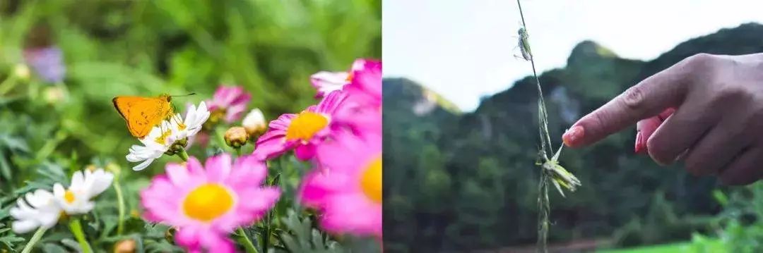 藏于稻田竹海中的增城轻奢民宿,广州增城中新镇三天两夜民宿推荐