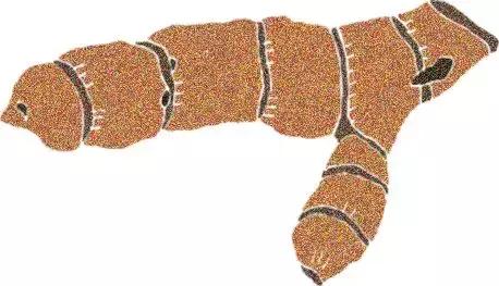 烹饪菜肴用的香辛料,料理必备调味料