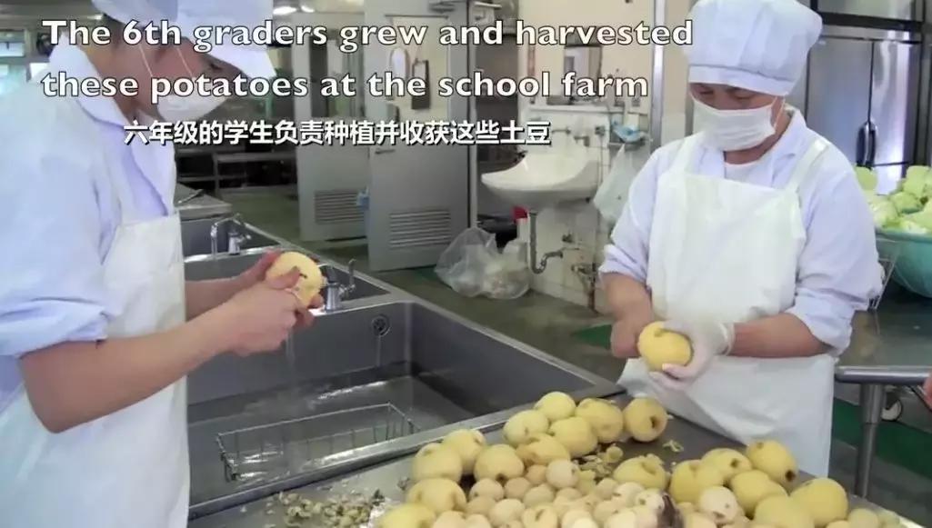 日本小学10元钱的午餐,日本学生午餐10元一个