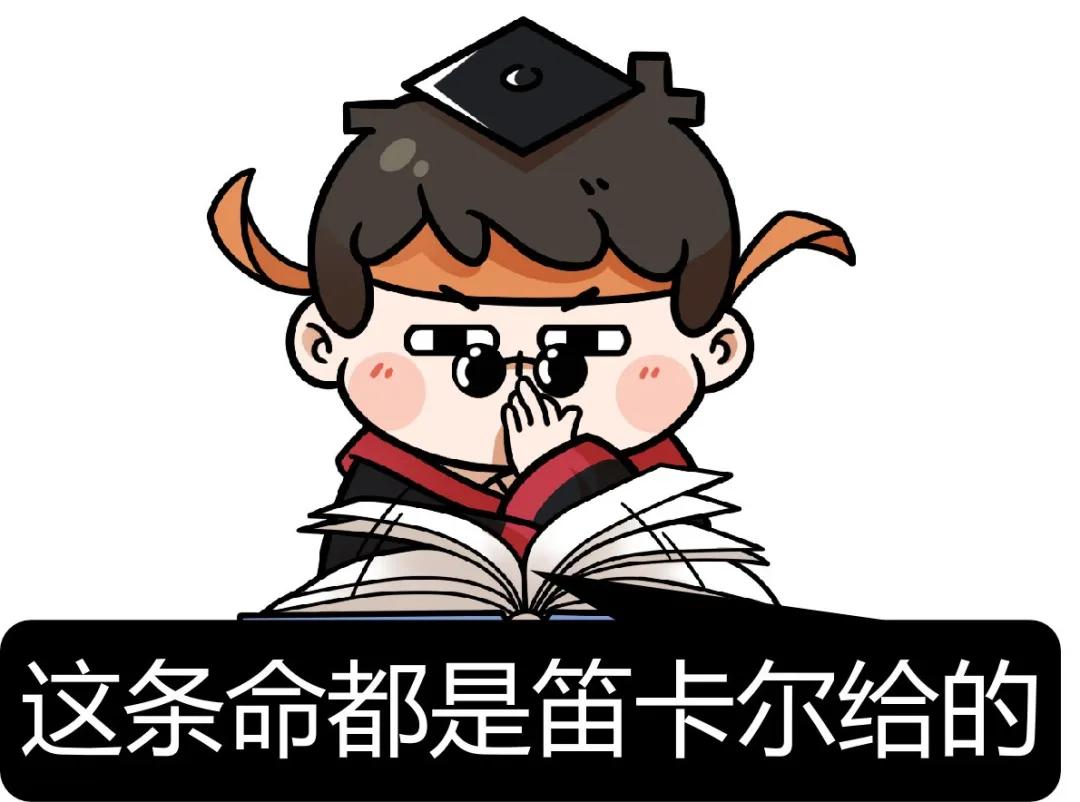 伟大的数学家笛卡尔,笛卡尔的数学哲学