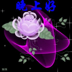 2019微信晚安问候语及图片大全朋友圈晚安语录