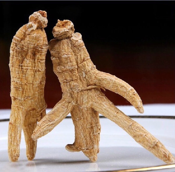 西洋参进入中国的时间,西洋参从哪里进的货