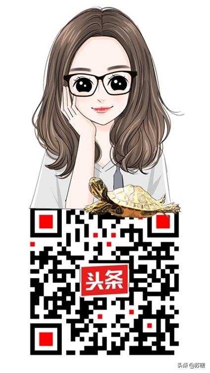 豹纹守宫用什么颜色的饲养盒最好,豹纹守宫幼体可以用多大的饲养盒