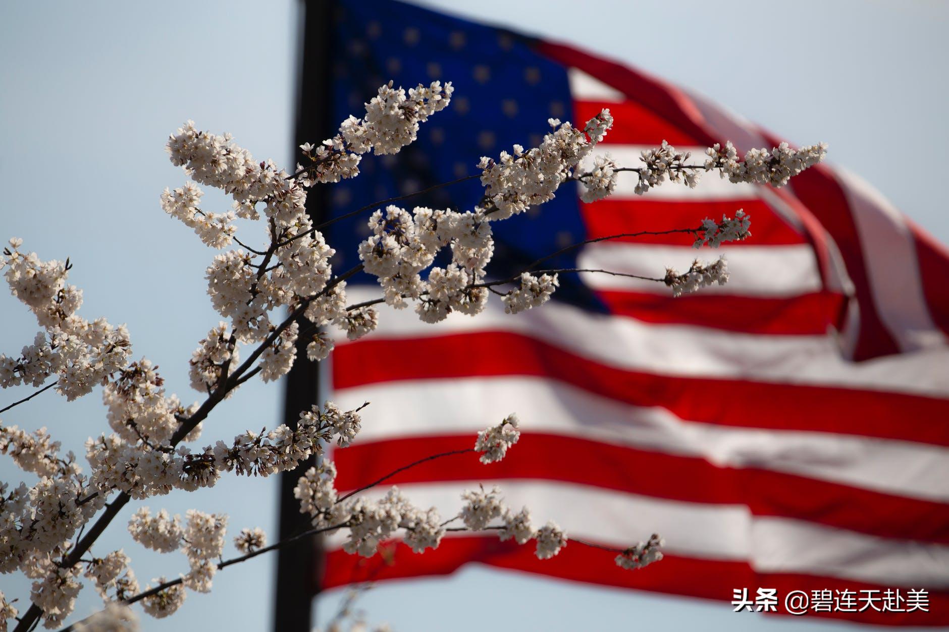 福建美国签证为什么容易拒签,美国签证拒签后多久可以再申请