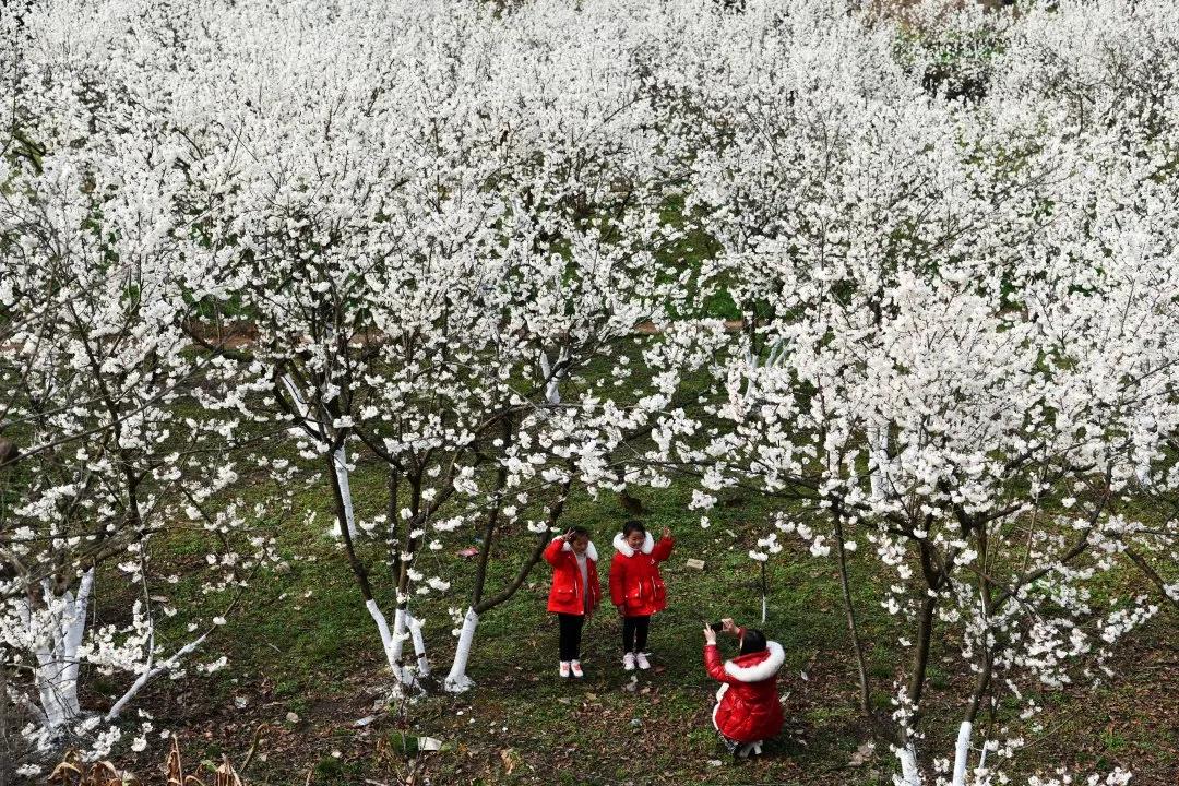 彪炳史册的六个伟大成就,彪炳史册的脱贫攻坚战