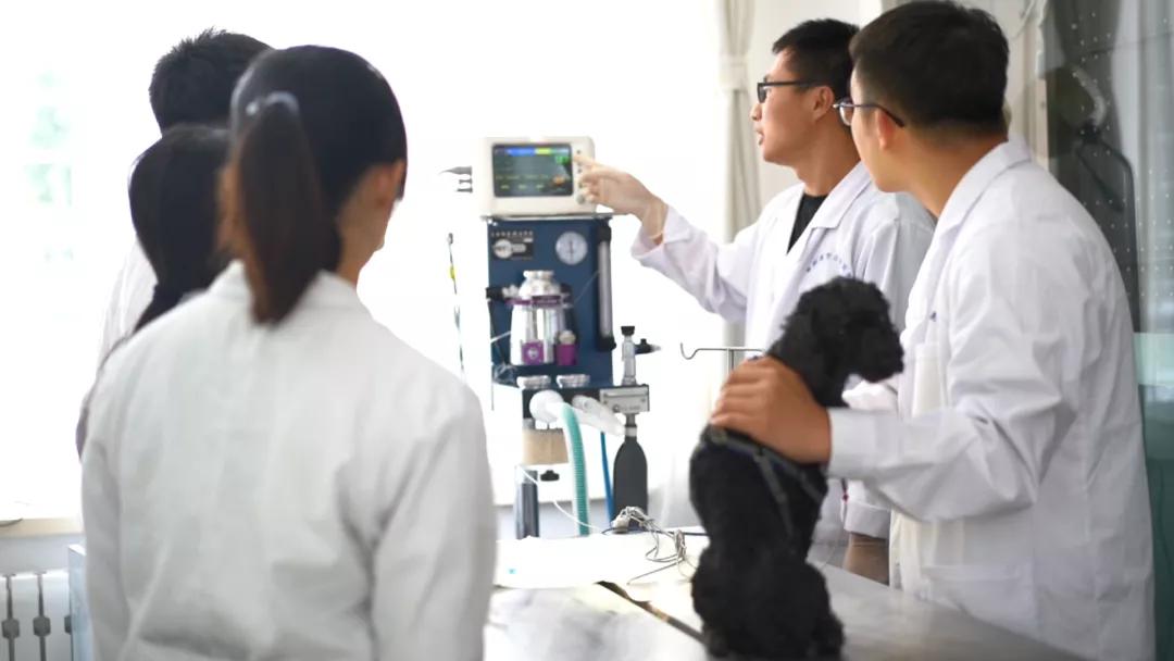 阜新高等专科学校招生视频,阜新高等专科学校招生