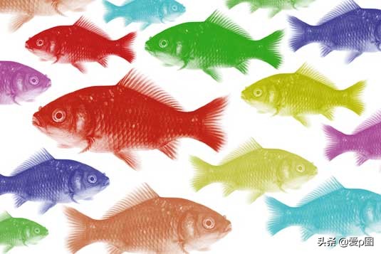 快速掌握photoshop的12个技巧,120条photoshop新手必看技巧