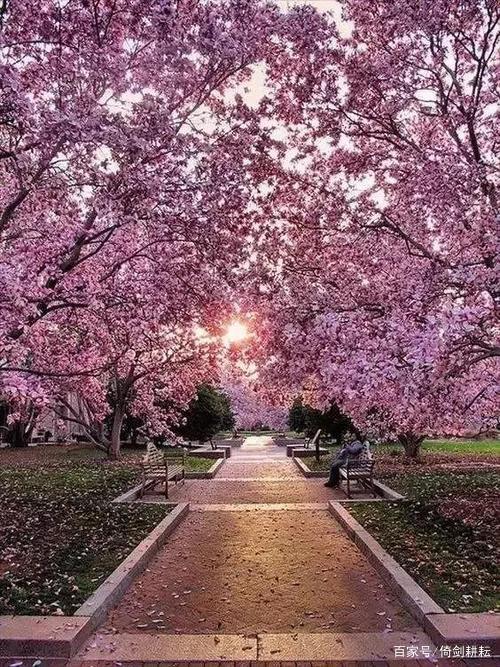 大连地铁沿线有哪些打卡景点,大连沿途的风景线