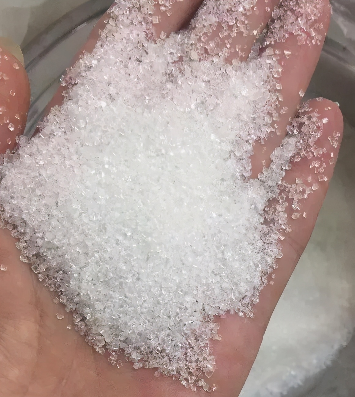 绿萝吊兰盆栽好养吗,绿萝吊兰水培