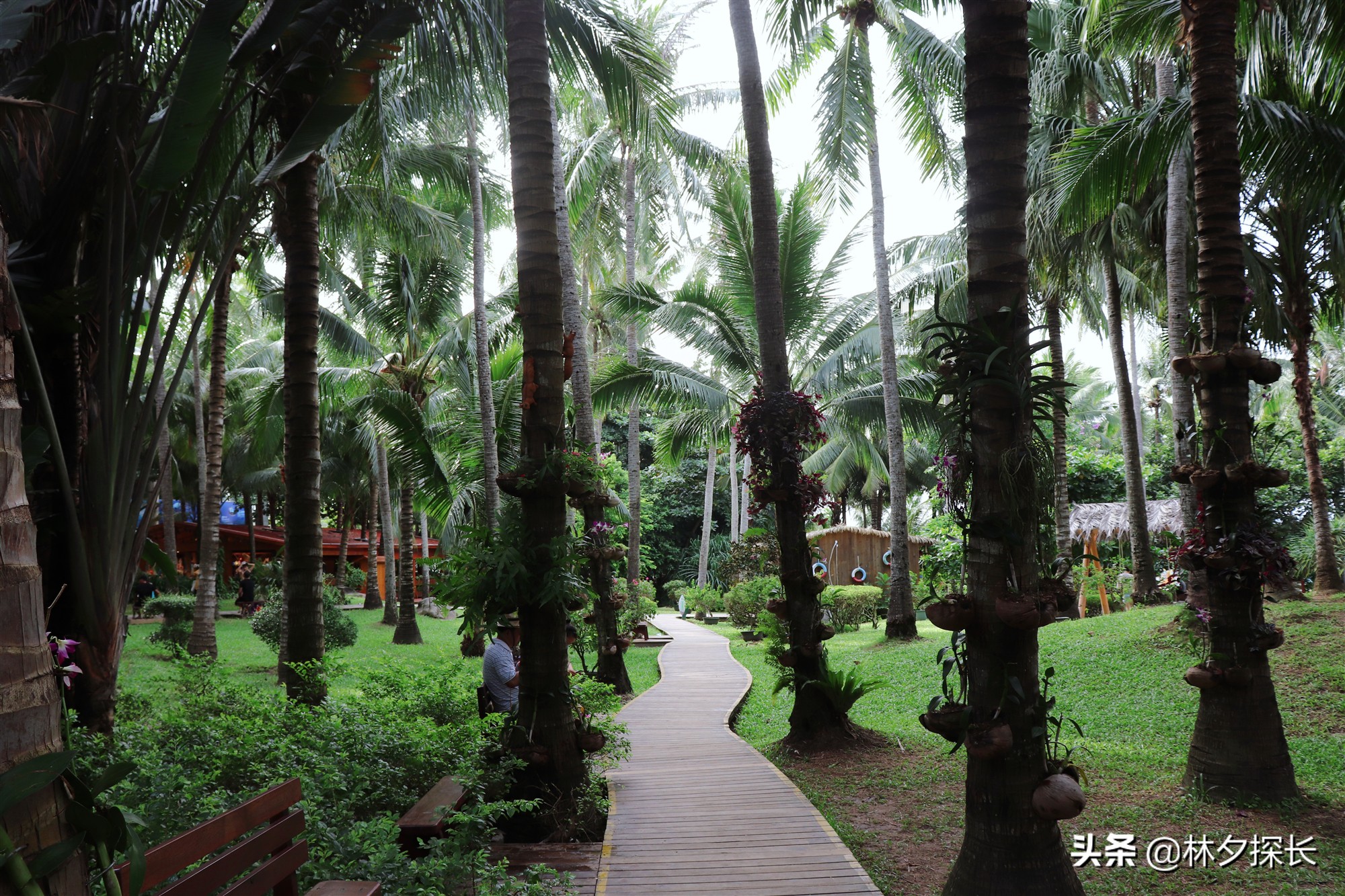 中国第一潜水基地——三亚蜈支洲岛，别名“烧钱岛”