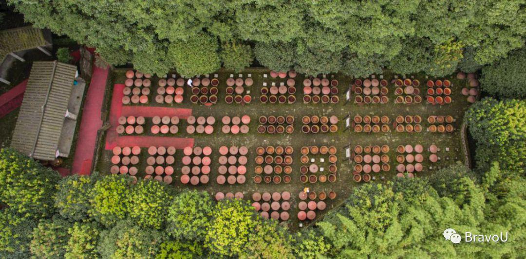 【慢游新天府，感受新成都】端午节特辑（二）|世界冠军蒋文文、蒋婷婷带你去逛川西林盘和特色小镇打卡地