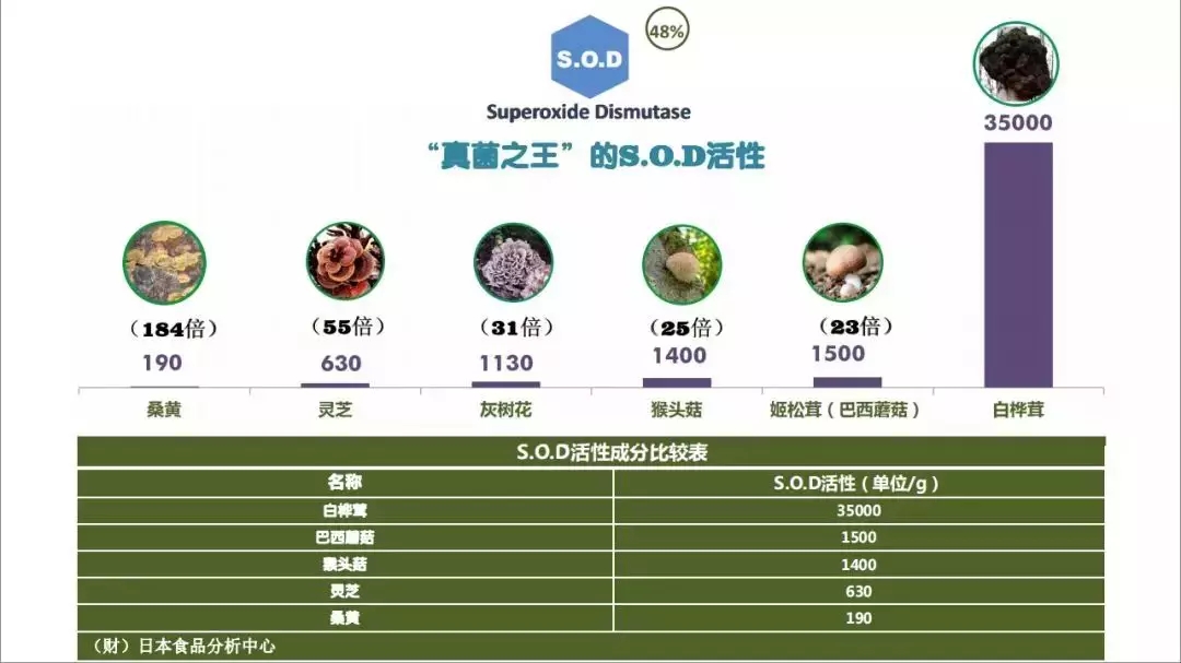 俄罗斯的白桦茸怎么样,白桦茸在俄罗斯叫什么