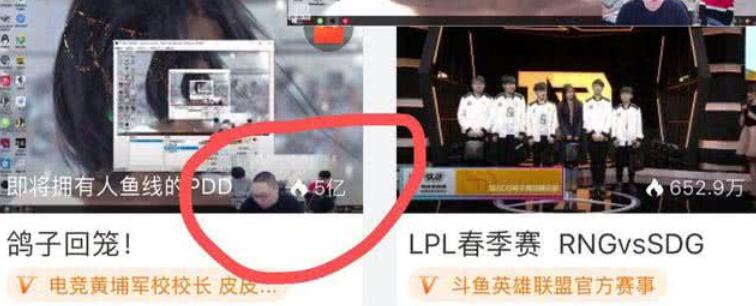 19年斗鱼年度pdd,pdd斗鱼复播