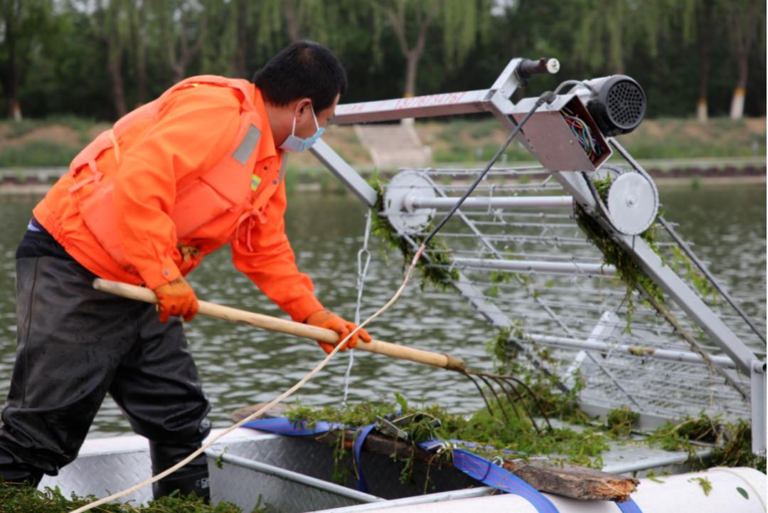 骆马湖后沙峪,顺义区后沙峪罗马湖