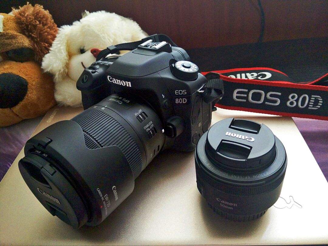 佳能80d18-200mm镜头还能卖多少钱,佳能80d加一镜走天下
