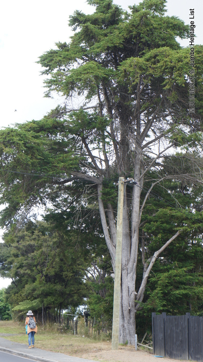 第36回：女同性恋貌合神离，划清界限准备摊牌