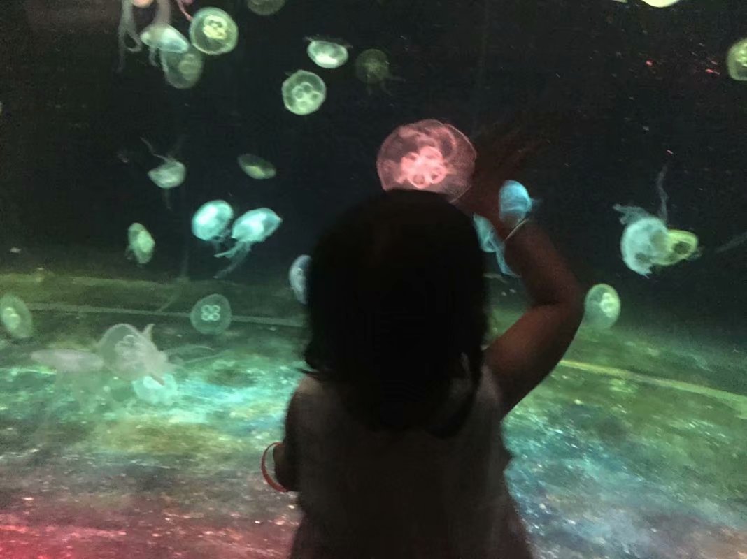 全球最大的长隆海洋公园,沉浸式参观长隆海洋王国