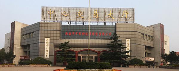 4月1日药材市场快讯:柴胡、金樱子、泽泻、佛手、黄连、猫须草