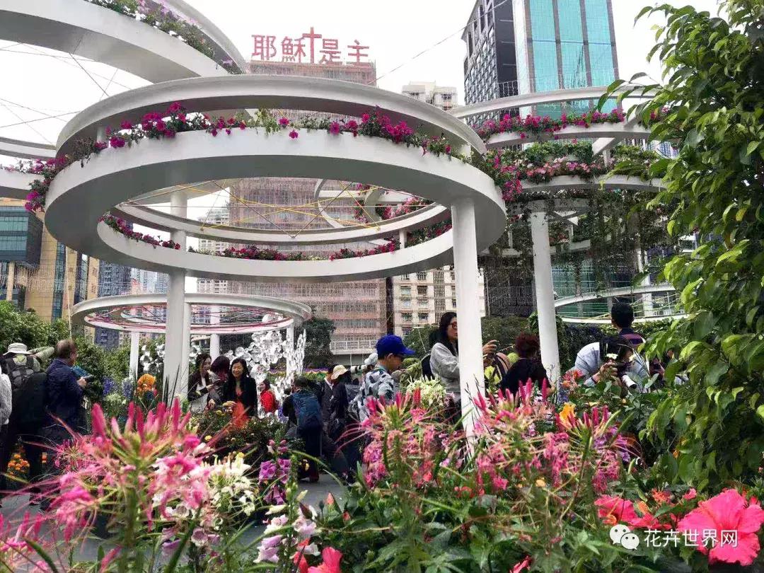 共赴盛会活动,香港国际花卉展