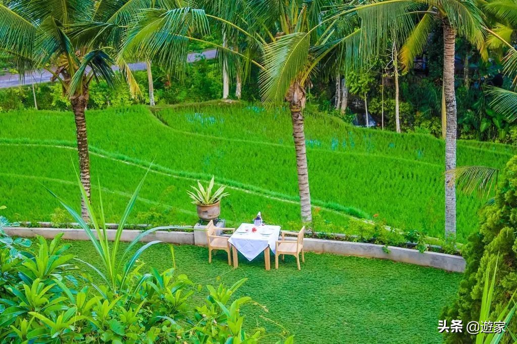 巴厘岛1000元酒店推荐,巴厘岛十大酒店顶奢