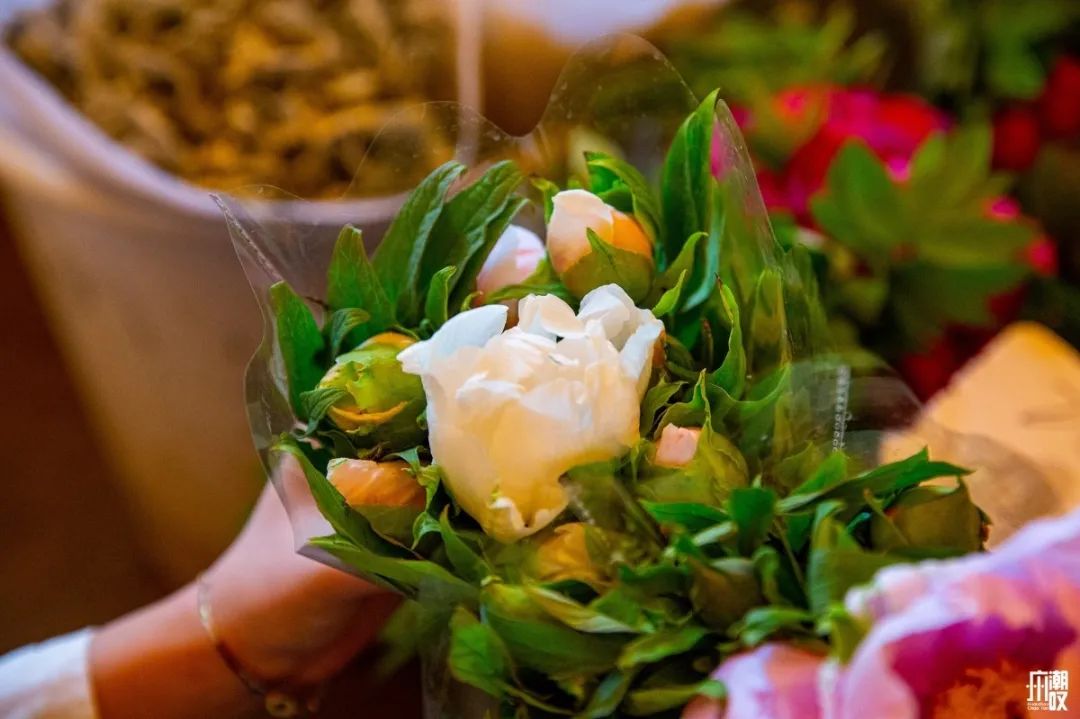 深夜去广州的花卉市场买花,如何逛斗南花卉市场买花便宜