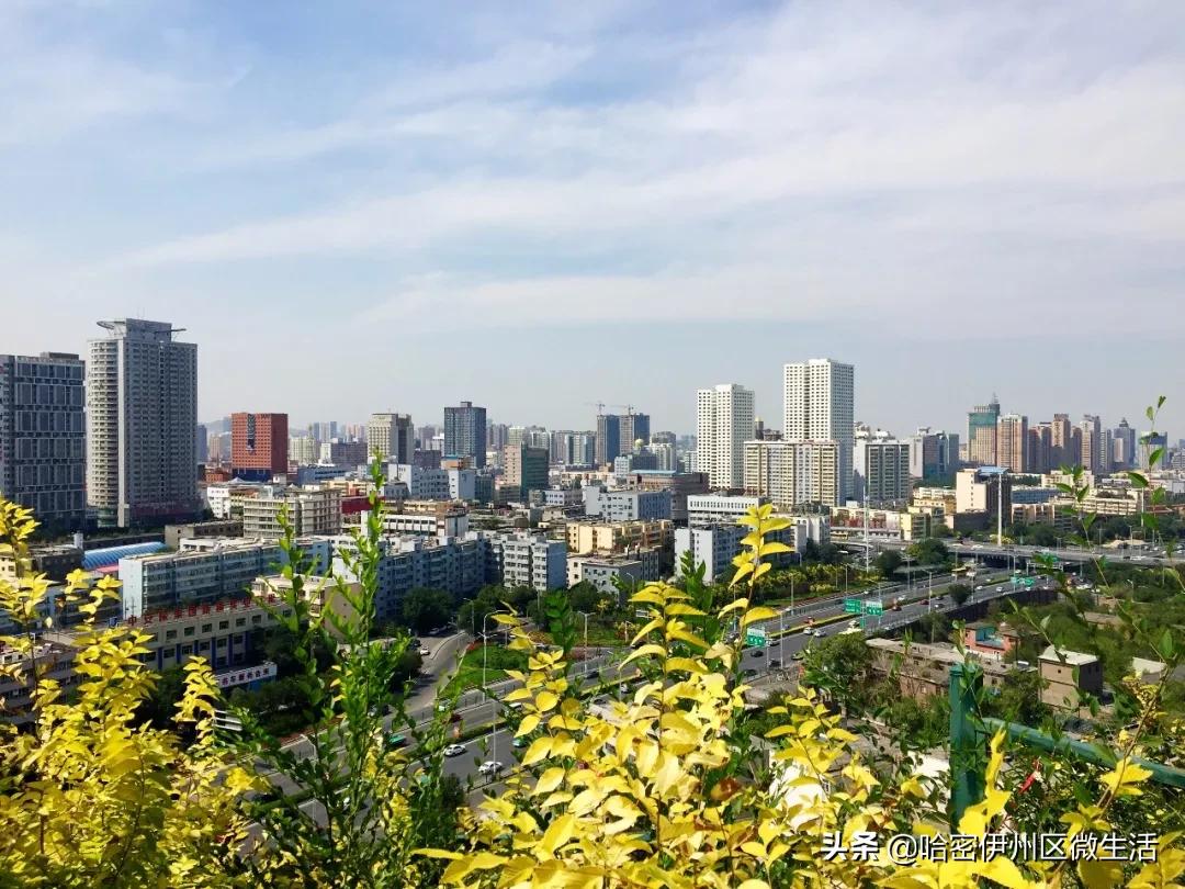 来听听*疆新**人怎么介绍*疆新**吧