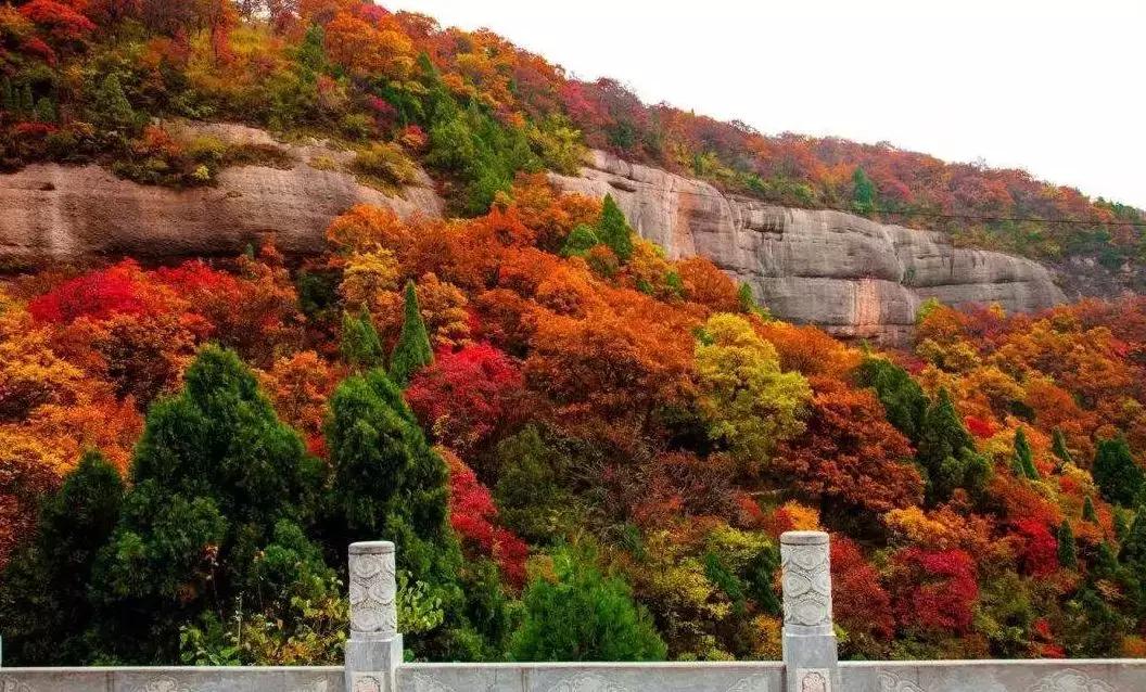 停车坐爱枫林晚霜叶红于二月花,西安秋季开车看红叶最好去处