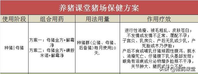 母猪妇科炎症最佳治疗方法,母猪阴道炎症的症状及治疗方法