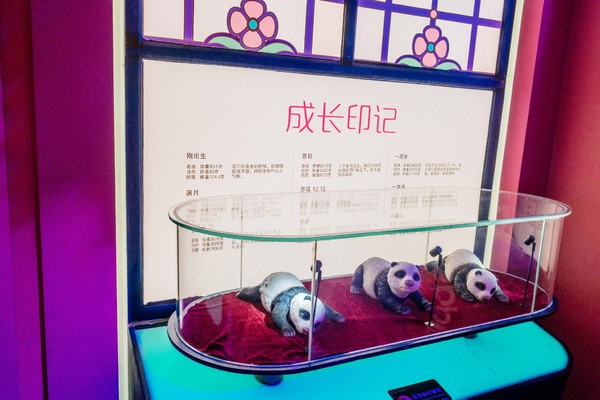 广州长隆旅游攻略自由行详细,广州长隆五一节3天2夜亲子游攻略