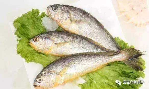 秦皇岛美食排行榜前十名海鲜,秦皇岛最好的海鲜自助餐厅排名榜