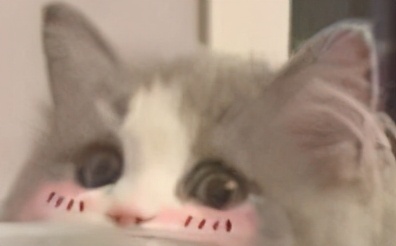 新手剑网三打金怎么练号,剑网三挑号攻略