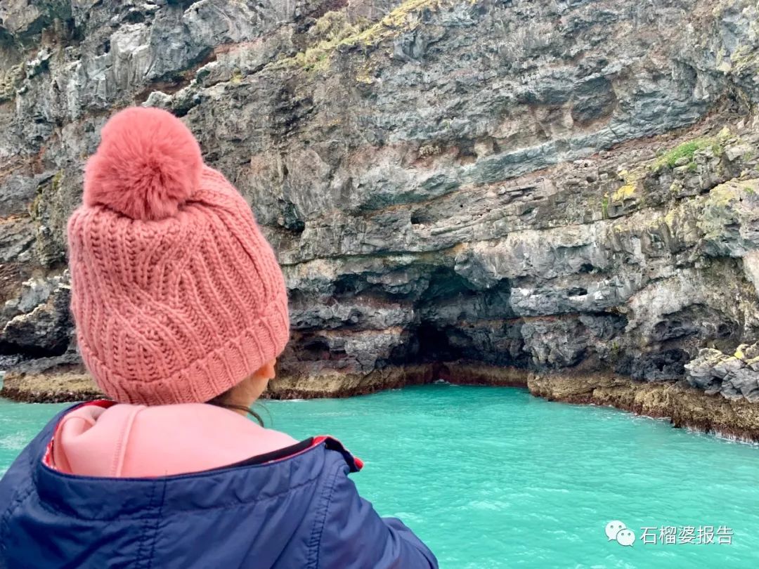 旅行7天,新西兰霍比特人村游记