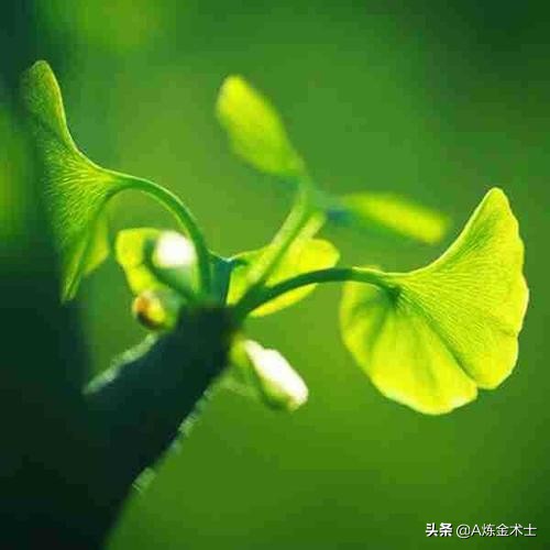 期货经典案例人物篇之400赚2亿的神话