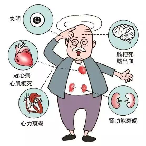 刚得了高血压用什么药,刚得了高血压怎么恢复之前状态