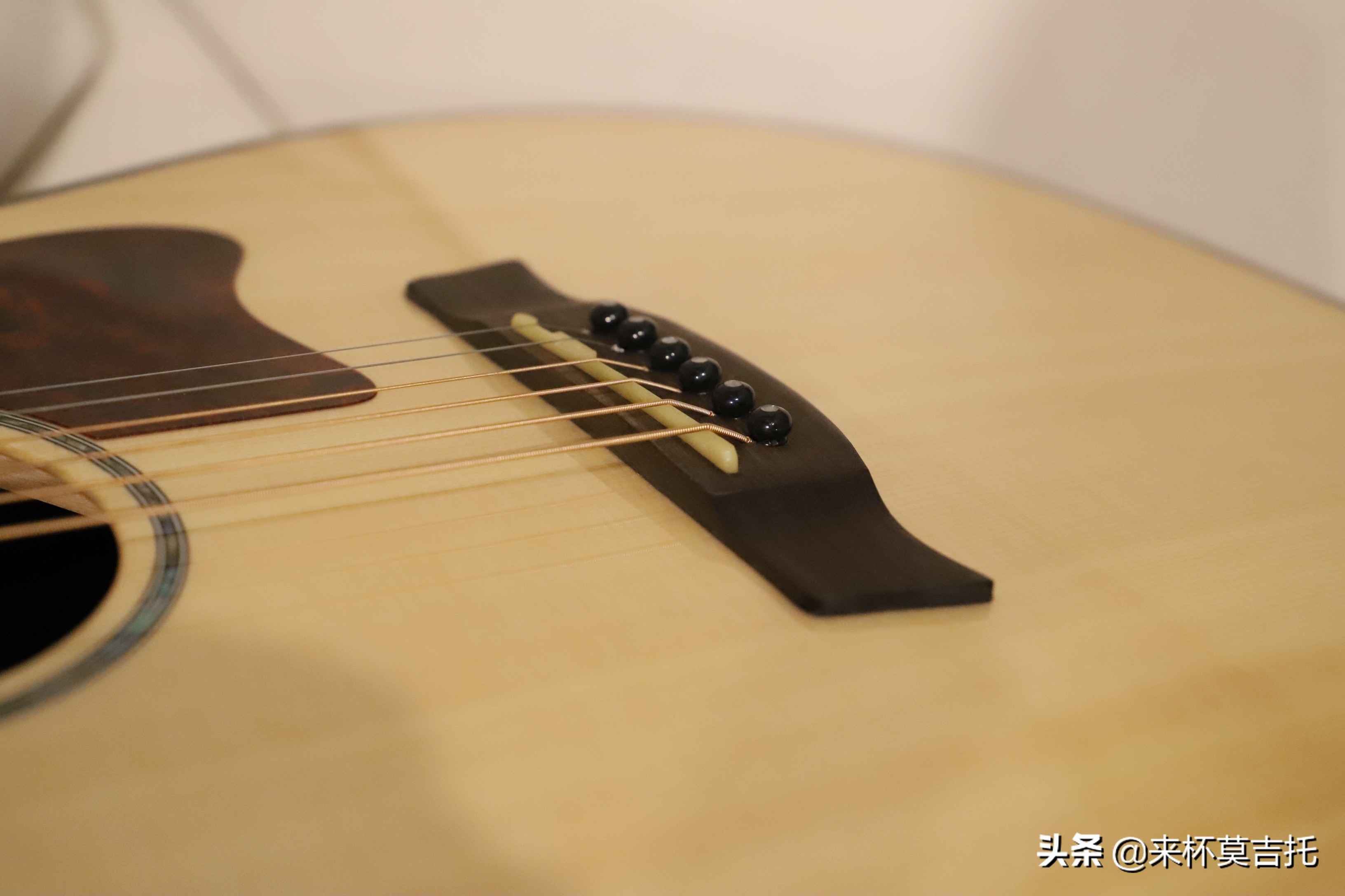 完美大学生活，从加入吉他社开始，老司机教你如何选入门吉他