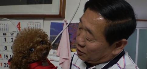 老人被小狗咬了有什么征兆,被溺爱的狗狗如何纠正