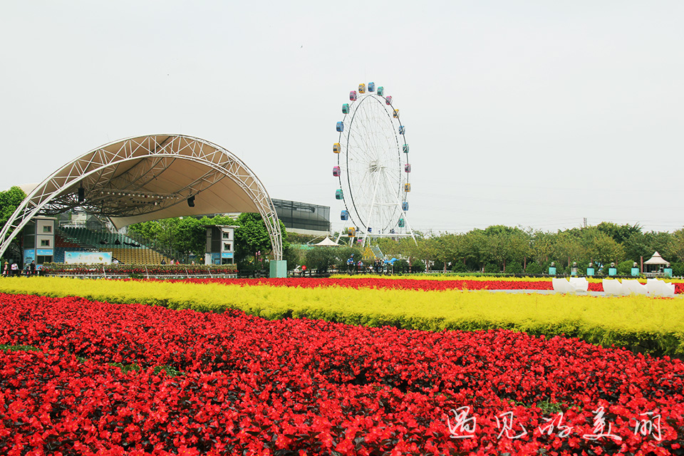 百万葵园有多坑,百万葵园免门票